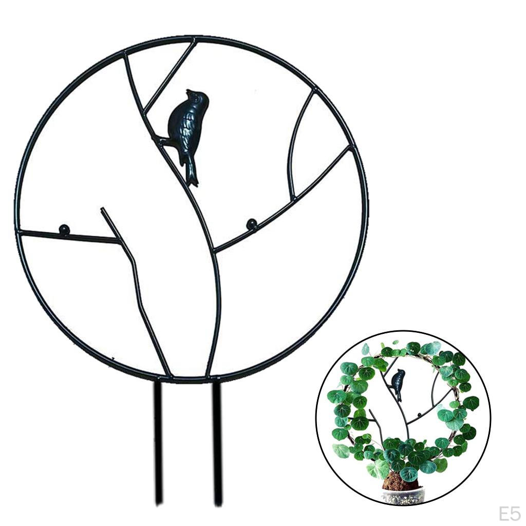 Garden Metal Trellis, Round Trellis for DIY Potted Climbing Support, Flower Rose Vines Ivy