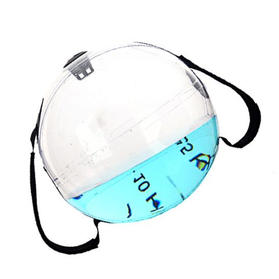 Water Weights Aqua Bag with Handle Transparent PVC Fitness Water Ball Weighted
