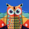 Owl Patterned Kites High Visibility Encourages Motor Skills Development Outdoor Exploration Gift