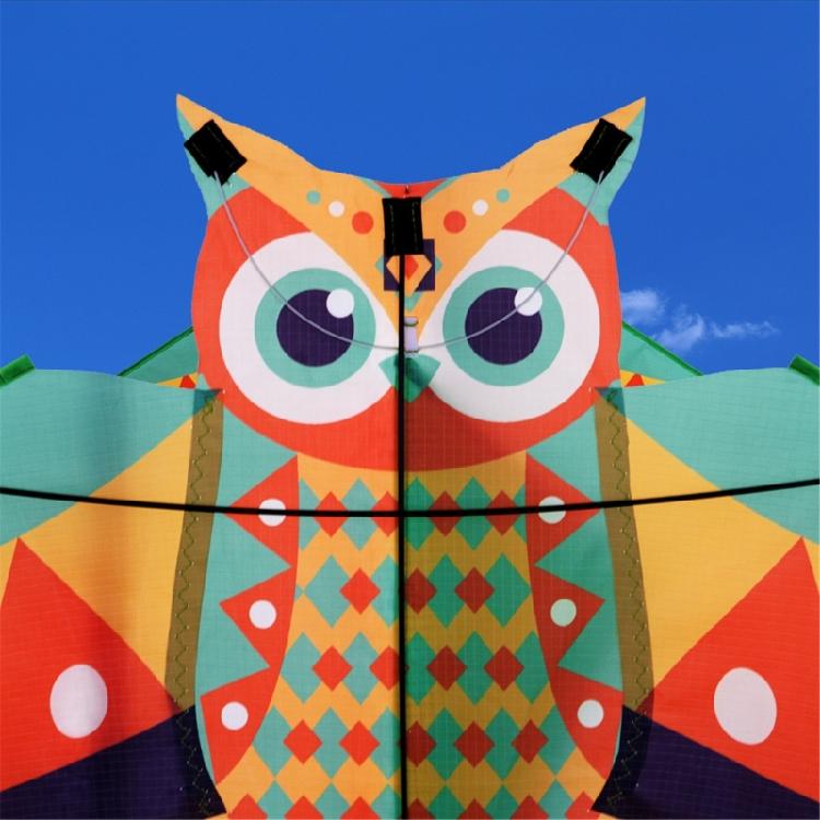 Owl Patterned Kites High Visibility Encourages Motor Skills Development Outdoor Exploration Gift