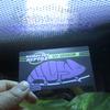 Reptile – Terarii pentru reptile