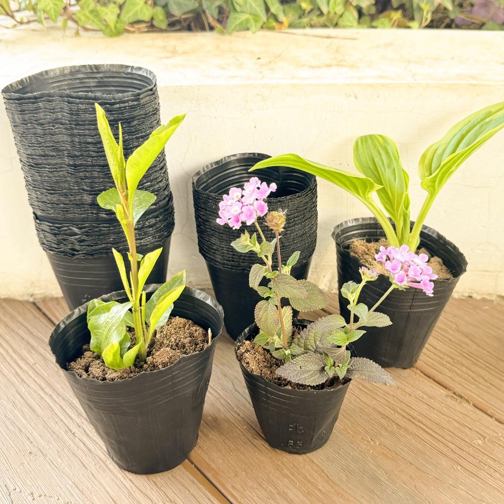 50/100PCS Plastic Black Seedling Nursery Pots Seed Grow Bags Flower Plant Breathable Container Garden Vegetable Planting Pots