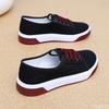 Fashion New Spring Casual Comfortable Canvas Shoes Fashionable Versatile Women's Flats Women's Vulcanized Shoes