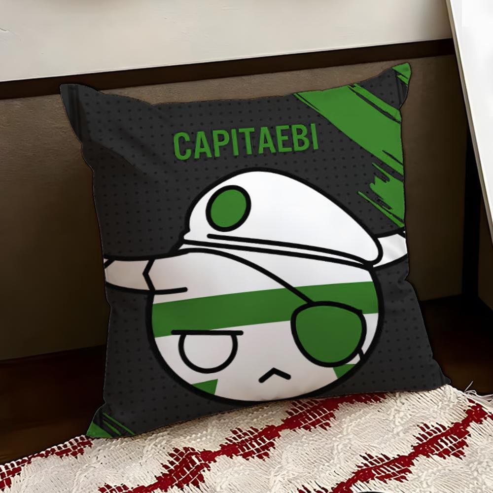 Game DDOKKAEBIS Cushion Cover Reversible Soft Durable Pillow Cover Home  Car MultiScene Use for Daily Comfort