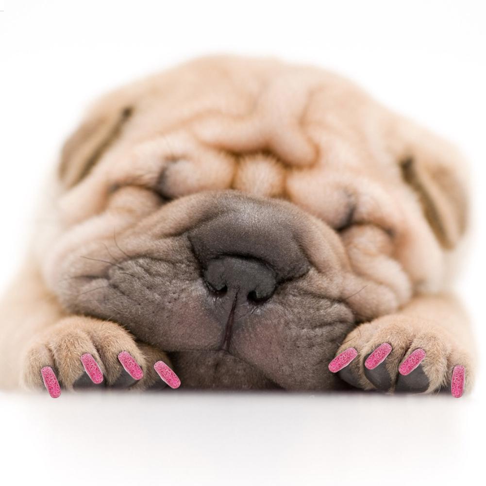 100PCS Pet Dog Soft PVC Nail Cover Paw Claw Cap Wrap Grooming Accessory