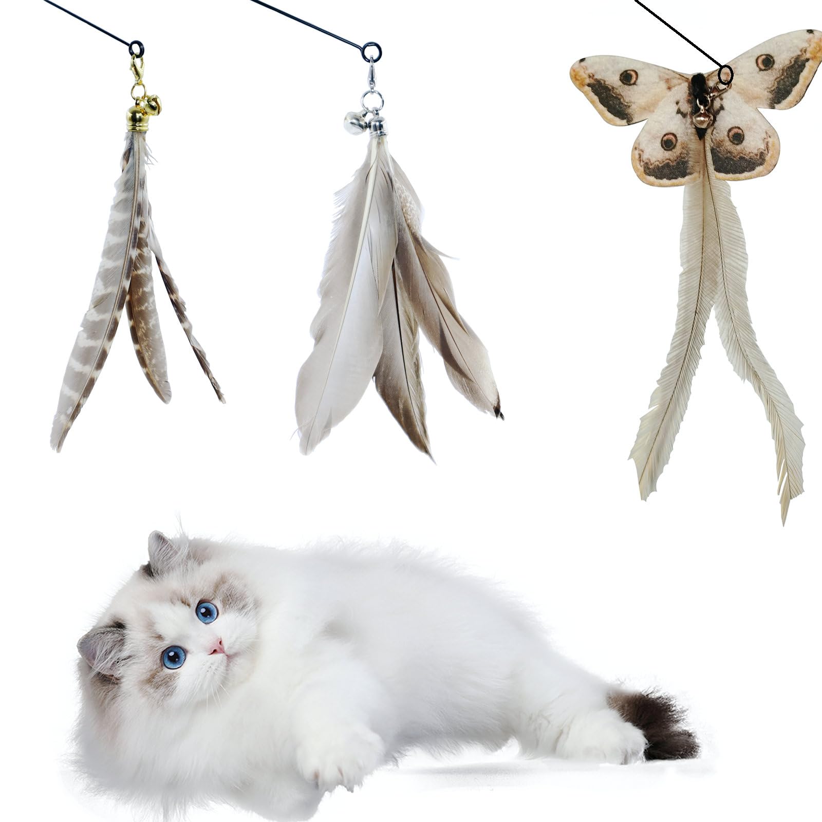 

3 of Ni Cat Toy Feather Replacement Cat Teaser Cat Toy Feather Fishing Rod (1) Replacement Feathers (3)
