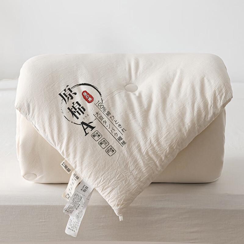 Oeny Soybean Fiber Quilt