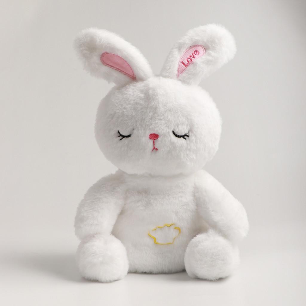 Rabbit Plush Toy Luminescence Music Fill Doll Baby Reassure Doll Cartoon Animals