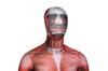 Attack on Titan Colossal Titan Full Body Zentai Cosplay Skin Tights Halloween Costume [kitamurasyokai] Costume, (L)