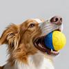 Interactive Dog Toy Ball Automatic Rolling Bouncing Ball Dog Chew Toy Rechargeable Dog Training Ball for Medium Large Dogs Chasing Teeth Cleaning