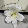 Exquisite Phalaenopsis Orchid Lily Keychain Creative Simulation Flower Bag Pendant  Backpack Decoration Accessories Gifts