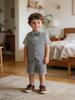 2026 Summer Boys' Three-Piece Set: Short-Sleeved T-shirt, Shorts & Vest - Children's Gentleman Outfit