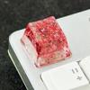 OEM Height Resin Keycap Featuring Color Foil Backlight for Mechanical Keyboards for Gamers and Collectors