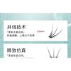 Bonnie Wisp - Natural Individual Multipack False Eyelashes (Various Designs)