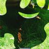 Halloween Black Figure Scary Statue Yard Signs Home Party Decoration