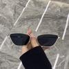 Fashionable Retro Cat Eye Metal Sunglasses for Women Korean Style Unisex Trendy Eyewear Popular Sun Glasses
