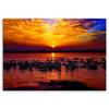 Canvas Print Swans Sunset