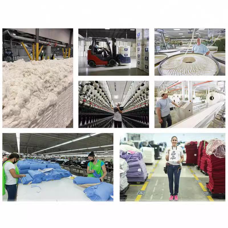 Women's Short-sleeved T-shirt, Fashionable Flower Print Bottoming Shirt