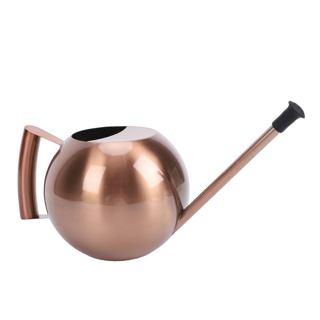 Watering Can with Spout 1000ml Stainless Steel Round Indoor Plant Watering Can with Detachable Head for Home Garden Flower