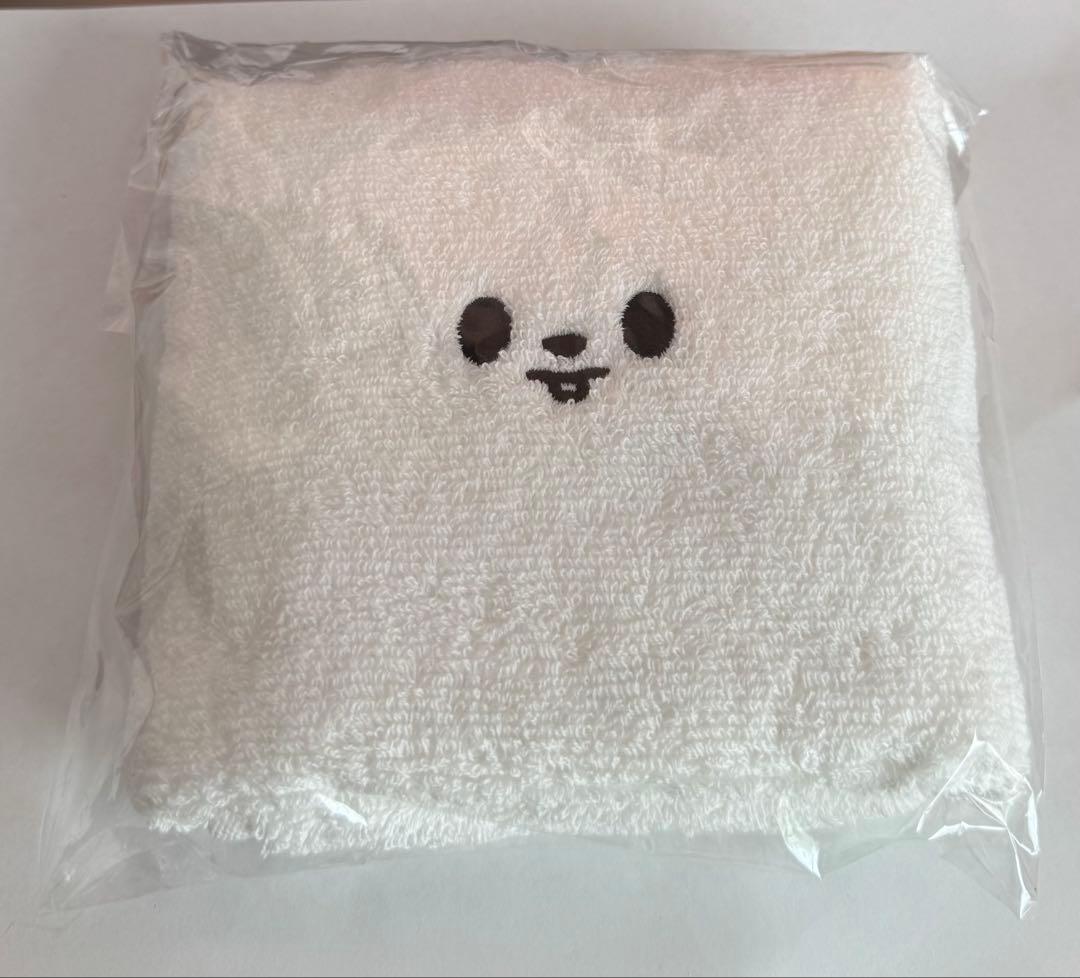 [USED] Stray Kids fan meeting admission gift: Lee Know towel