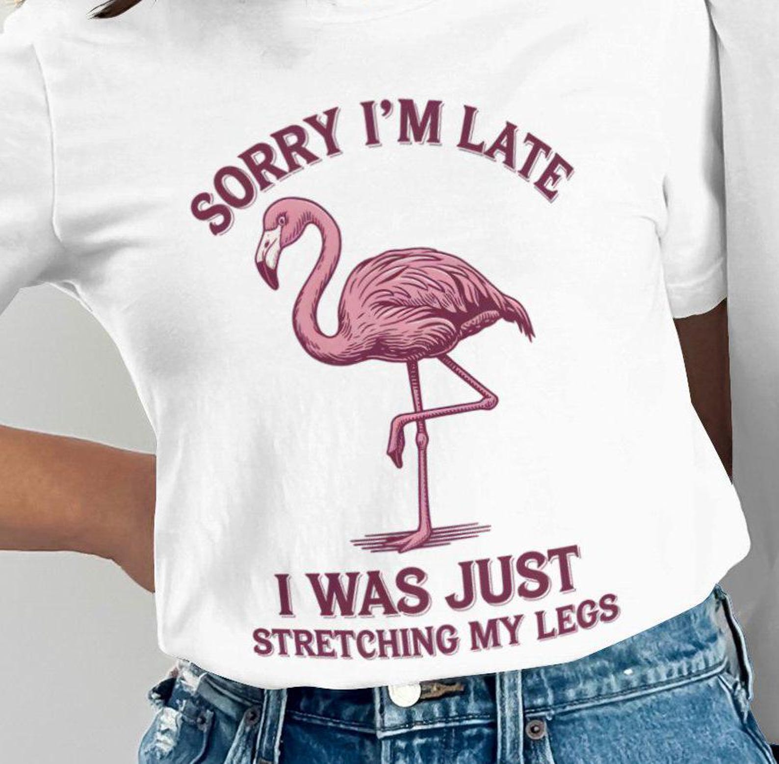 Funny Flamingo T-Shirt: Sorry I m Late, Stretching My Legs Tee 4XL