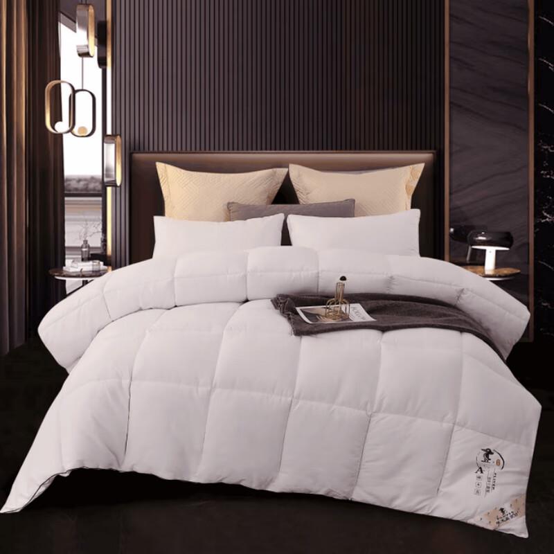 

PLOVER ZMN-DB002 Four-Hole Fiber All-Season Quilt