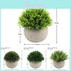 Eucalyptus Plant Pot With Ceramic Cup Realistic And Eye-catching Decoration Various Color Options
