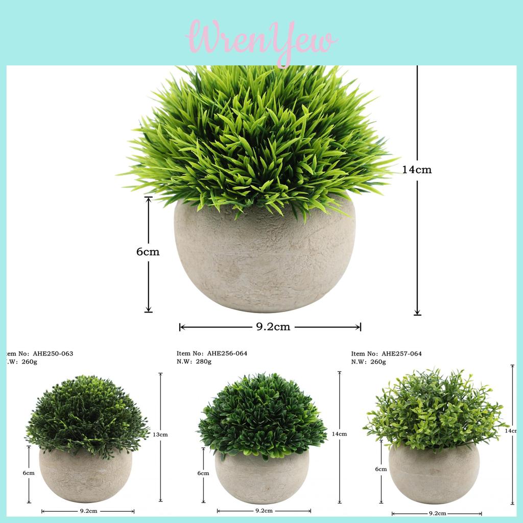 Eucalyptus Plant Pot With Ceramic Cup Realistic And Eye-catching Decoration Various Color Options