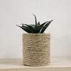 Decorative Artificial Plant In a Pot 8x14 Cm