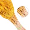 Home Decor Natural Dried Flowers Dried Wheat Bouquet Wheat Ear