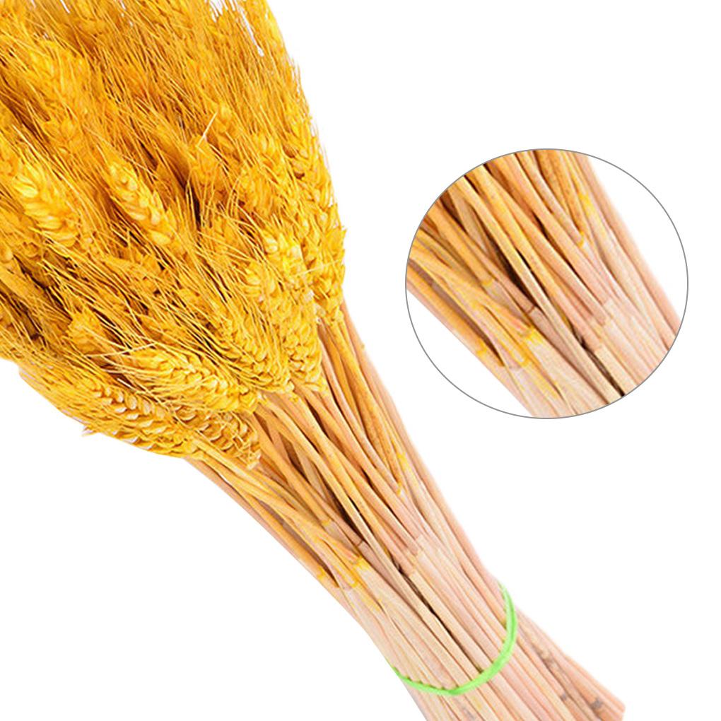Home Decor Natural Dried Flowers Dried Wheat Bouquet Wheat Ear