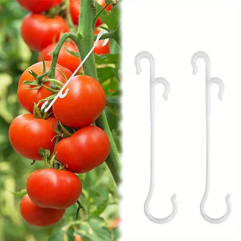 5/10/20PCS J-Shaped Fruit Cherry Tomato Ear Hook Garden Vegetable Plant Grape Support Vines Fastener Clips Trellis Fixed Buckle Hook
