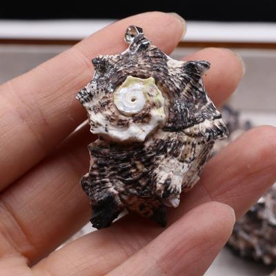 10Pcs Black Conch Pendant Shell Necklace Pendant 20-40mm For Jewelry Making DIY Necklace Bracelet Earrings Accessory