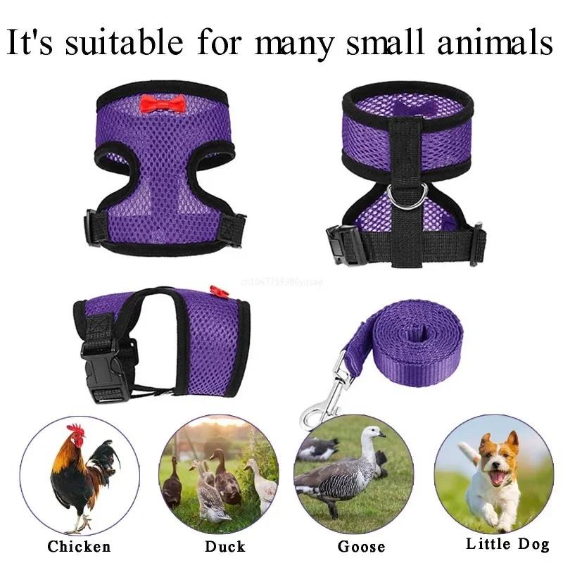 Farm Cock Training Harness Fashion Chicken Duck Vest Pet Leash Breathable Hen Belt Kippen Duck Walking Vest Chickens Accessories