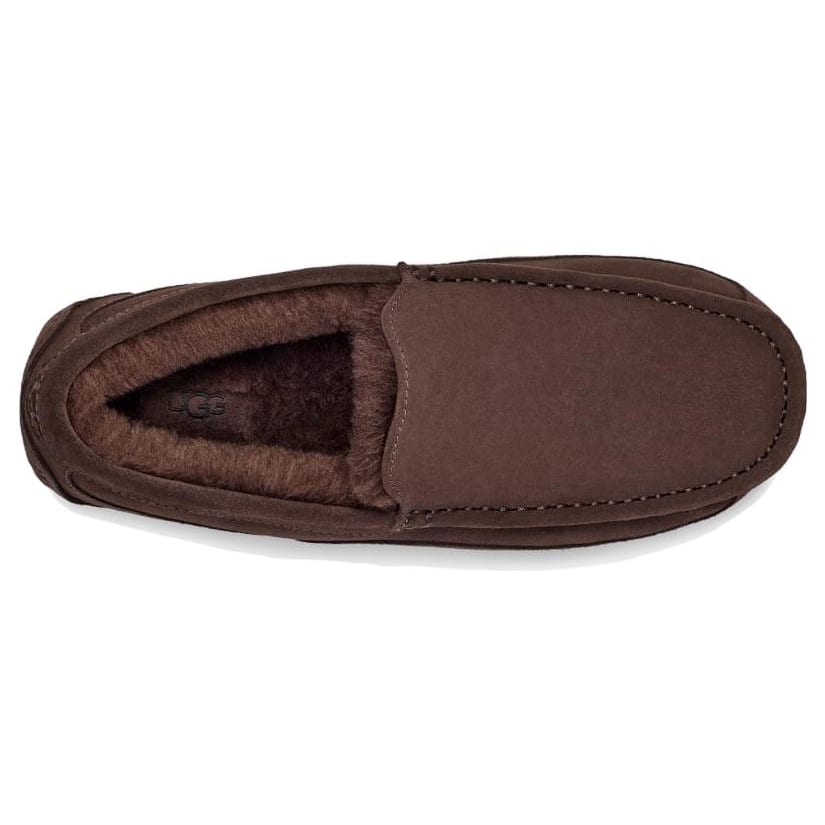UGG Ascot Slipper Dusted Cocoa 1101110-DDC