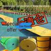 Lion Monster Floating Water Mat