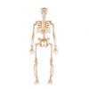 Craft Haunted House Mini Skeleton Figurines Decoration Props Small Skeletons  Outdoor Ornaments