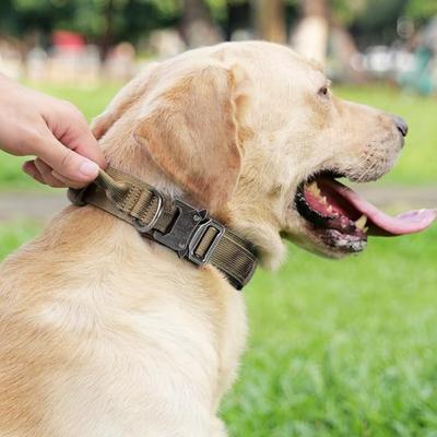 Regulowana taktyczna obroża dla psa Plutus Pet, miękko wyściełana