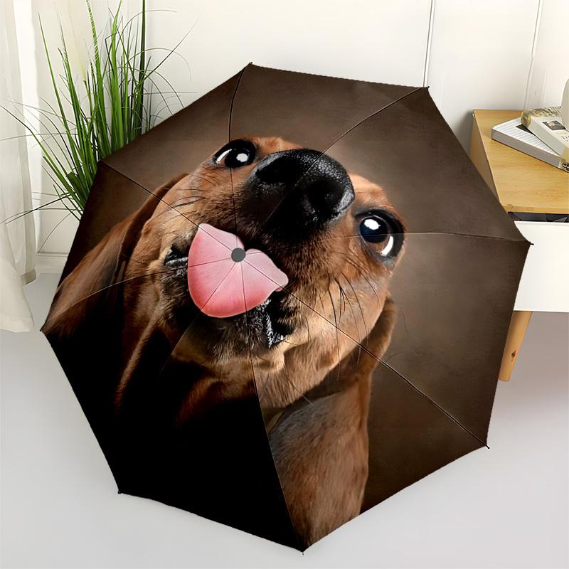 

1pc Dachshund Open/Close Folding Umbrella, All- Portable Umbrella for & Men, Stylish Accessory (Holiday Gift) 8-Rib yy251213104