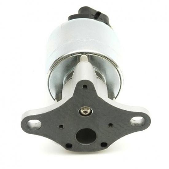 Delphi EG10174 EGR Valve  for Pontiac Toyota Vibe Matrix 1.8L 2003-2004