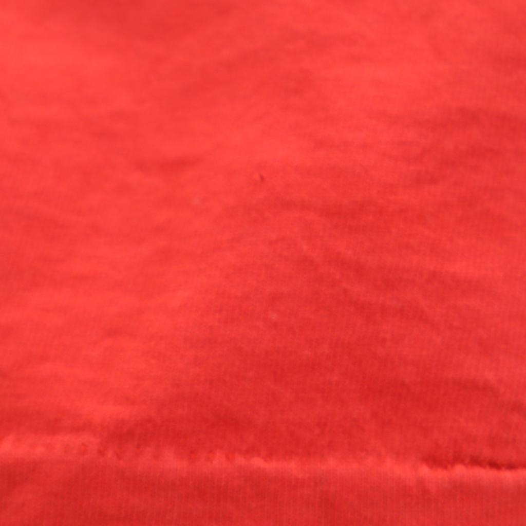 FRUIT OF THE LOOM 90s Made in USA Old LOUISVILLE CARDINALS Short sleeve T-shirt Men's Used