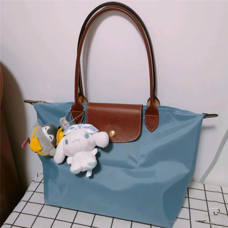 Unique Style Dumpling Large Nylon Shoulder Bag For Women With Ecofriendly Features In Hues Classic