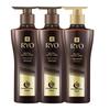 Ryo Hair Care Solutions