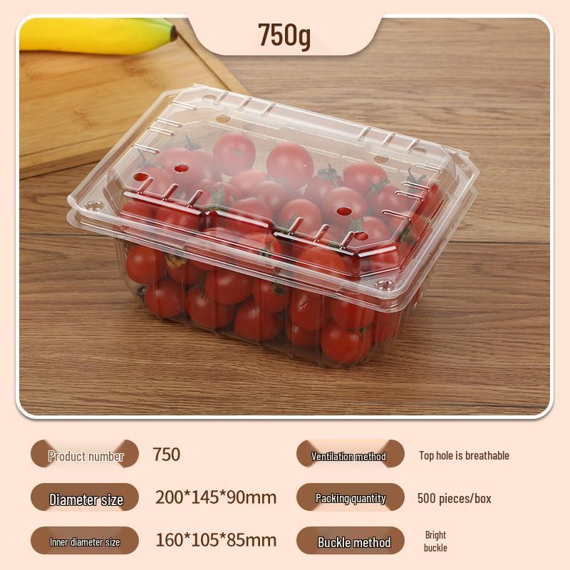Portable Disposable Transparent Plastic Rectangular Fruit Packaging Box with Lid