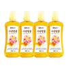 Damter Pyeongjung Domestic Sugar-fed Honey 1kg 4 Pcs