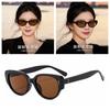 European and American Style Cat-eye Sunglasses for Women, New Model with a High-end Feel, Suitable for Square and Round Faces, Makes the Face Appear