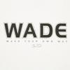 Li Ning Wade Collection T Shirt Men's AHSW143-6