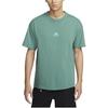 New Nike Acg Lungs T Shirt DQ1816-361
