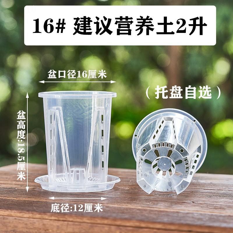 Transparent Plastic Orchid Pot with Drainage Holes and Saucer Root Control Pot for Moss Plants Visible Root System Breathable Pot 16cm Diameter