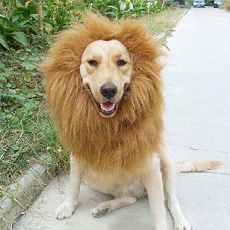 Pet Costume Lion Mane Wig For Dog Halloween Festival Dress Up Prop Fashion Gift